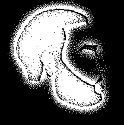 Product picture Al amin,This and that